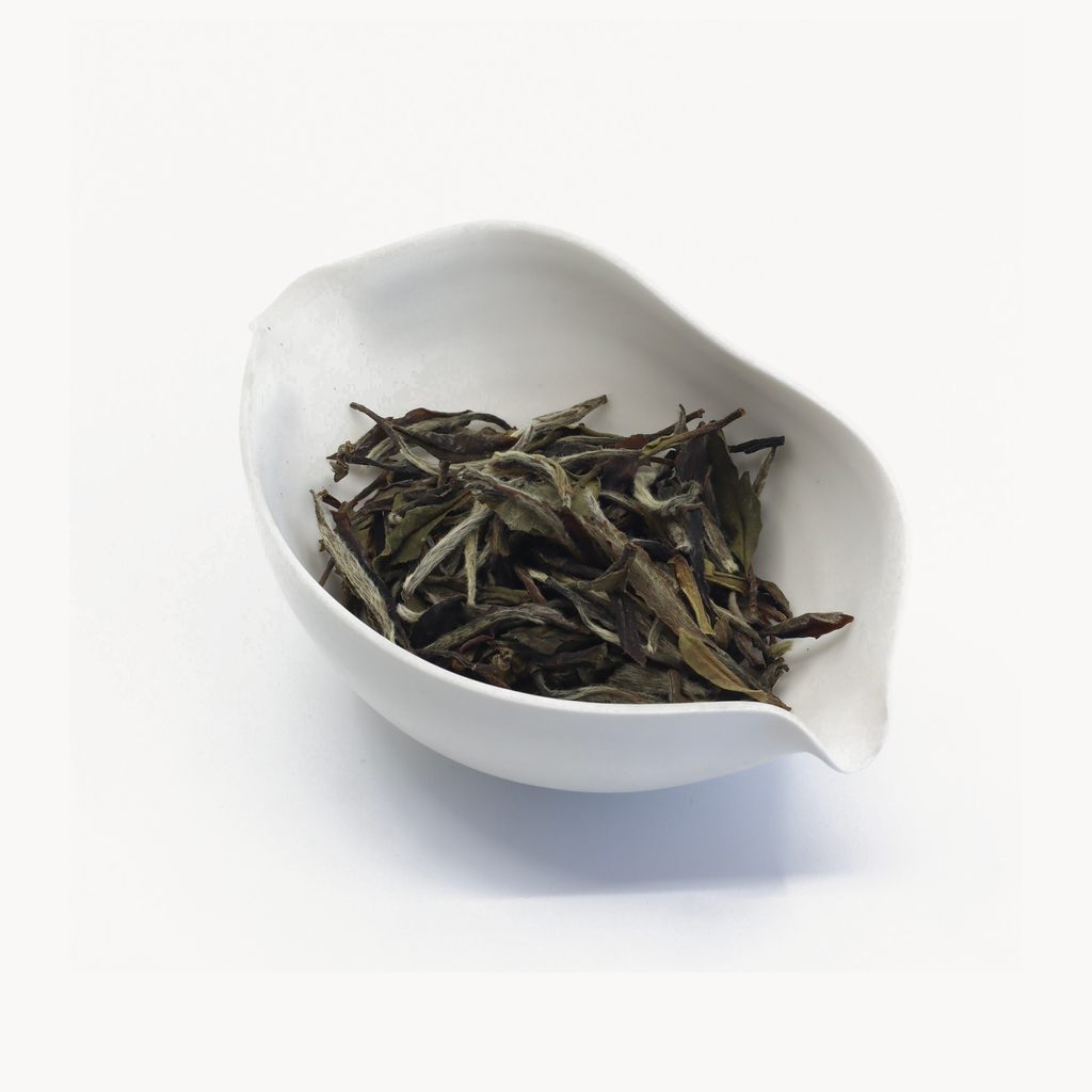 Yue Guangyin · 2018 Aged Bai Mudan